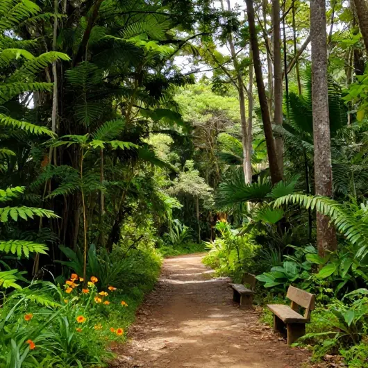 Melhores bosques em Rio Branco: o que você deve conhecer