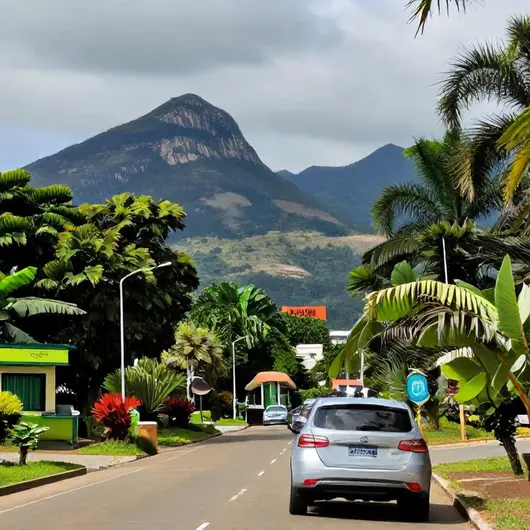 Aluguel de Carro em Rio Branco: Dicas e Informações Práticas