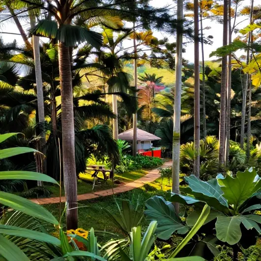 APA Igarapé São Francisco: Um Refúgio Natural em Rio Branco