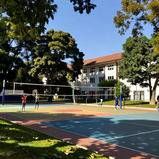 Centro Esportivo Castelo Branco: O Local Ideal para Praticar Esportes