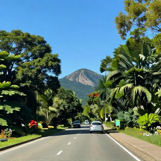 Como Chegar a Rio Branco pela BR-317: Um Guia Completo
