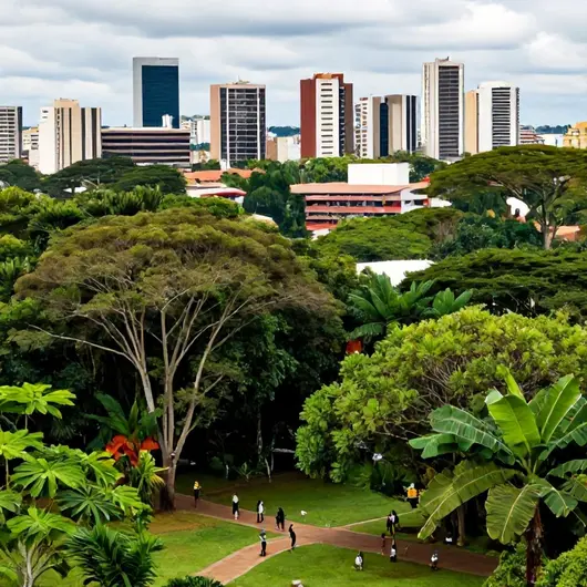 Descubra 37 lugares incríveis em Floresta Sul, Rio Branco