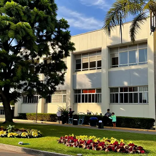 Descubra a Fundação Municipal Garibaldi Brasil