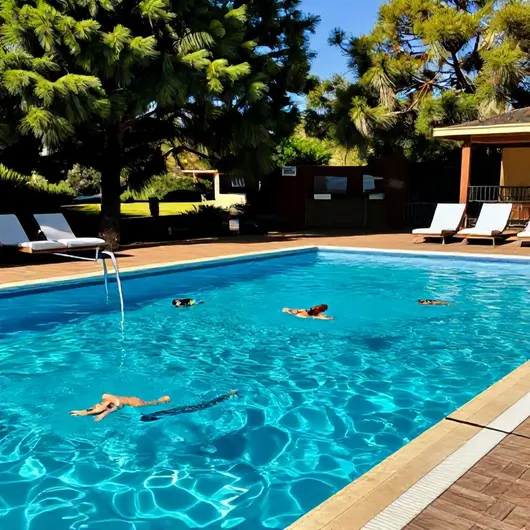 Descubra a Piscina Armando Nogueira