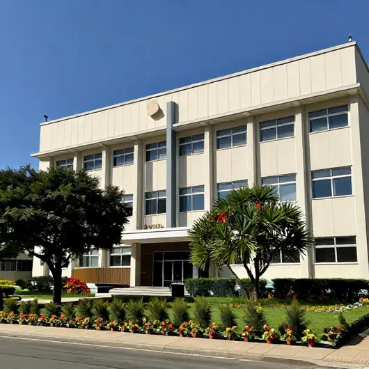 Descubra a Prefeitura de Rio Branco do Sul