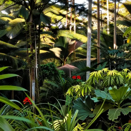 Descubra a RESERVA: Um Refúgio Natural em Rio Branco