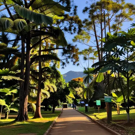 Descubra as Áreas Verdes em Rio Branco: Parques e Trilhas para a Natureza