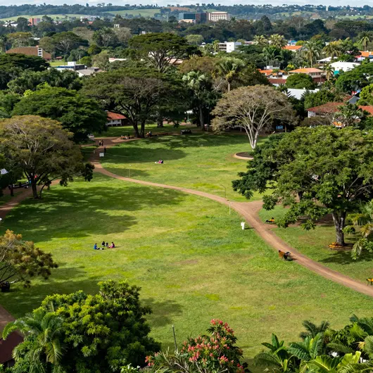 Descubra o Coqueiral Park