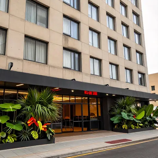 Descubra o ibis Rio Branco
