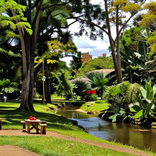 Descubra o Parque dos Igarapés