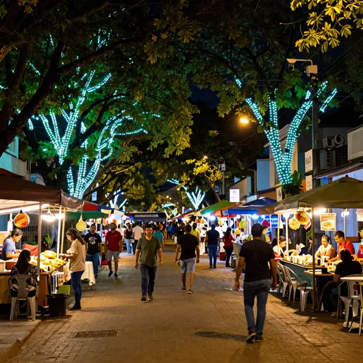 Descubra os Encantos dos Passeios Noturnos em Rio Branco