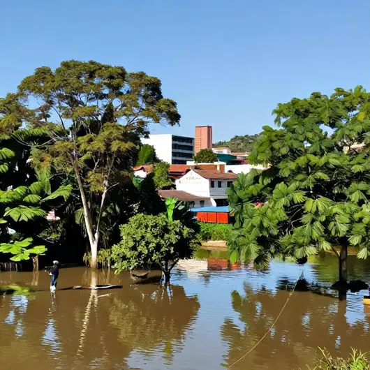 Entenda a Cheia do Rio Acre: Natureza e Impactos em Rio Branco