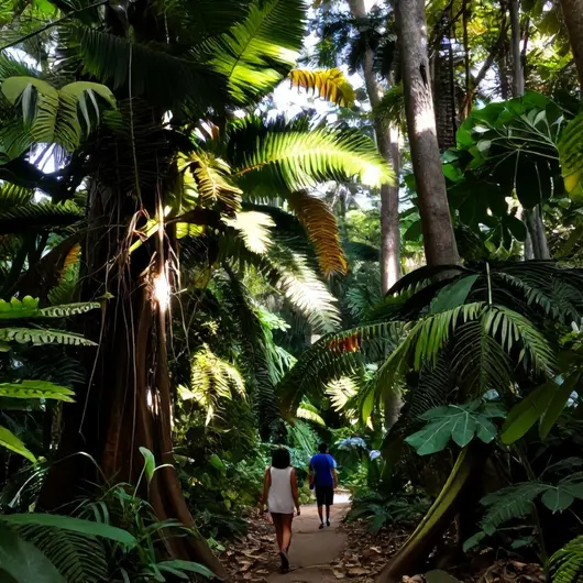 Explorando os Caminhos de Chico Mendes em Rio Branco
