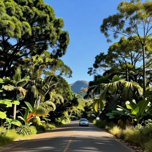 Explorando Rotas a Partir de Xapuri: Conheça as Melhores Opções para Chegar a Rio Branco