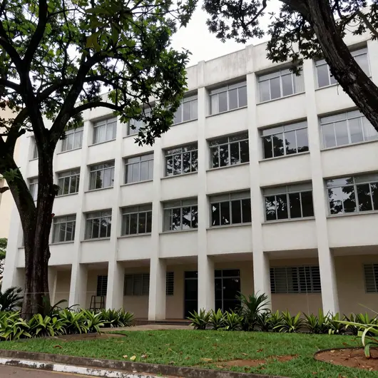 Instituto Janeiro Branco