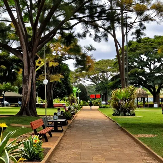 Melhores parques e trilhas em Rio Branco: um guia para o aproveitamento do lazer