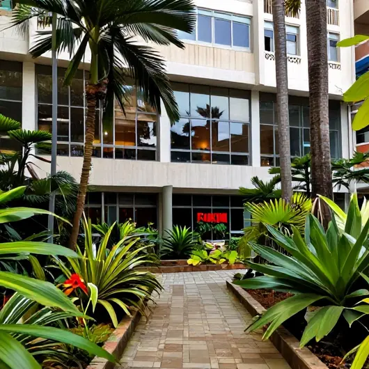 Museus e espaços culturais em Rio Branco