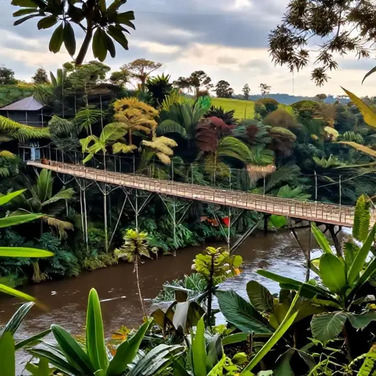 Os 13 melhores pontos de turismo acessível em Rio Branco: escolha com confiabilidade