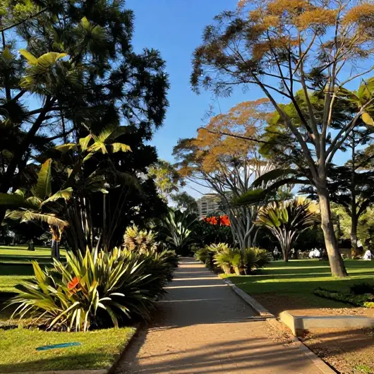 Parque do Rio Branco: Um Refúgio Natural na Cidade