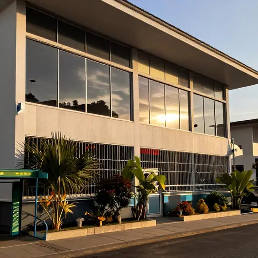 UseTransfers: O Melhor Serviço de Transporte
