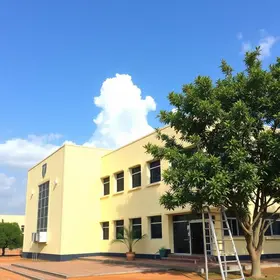 alunos da New Solar School