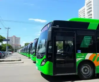 nova frota de ônibus